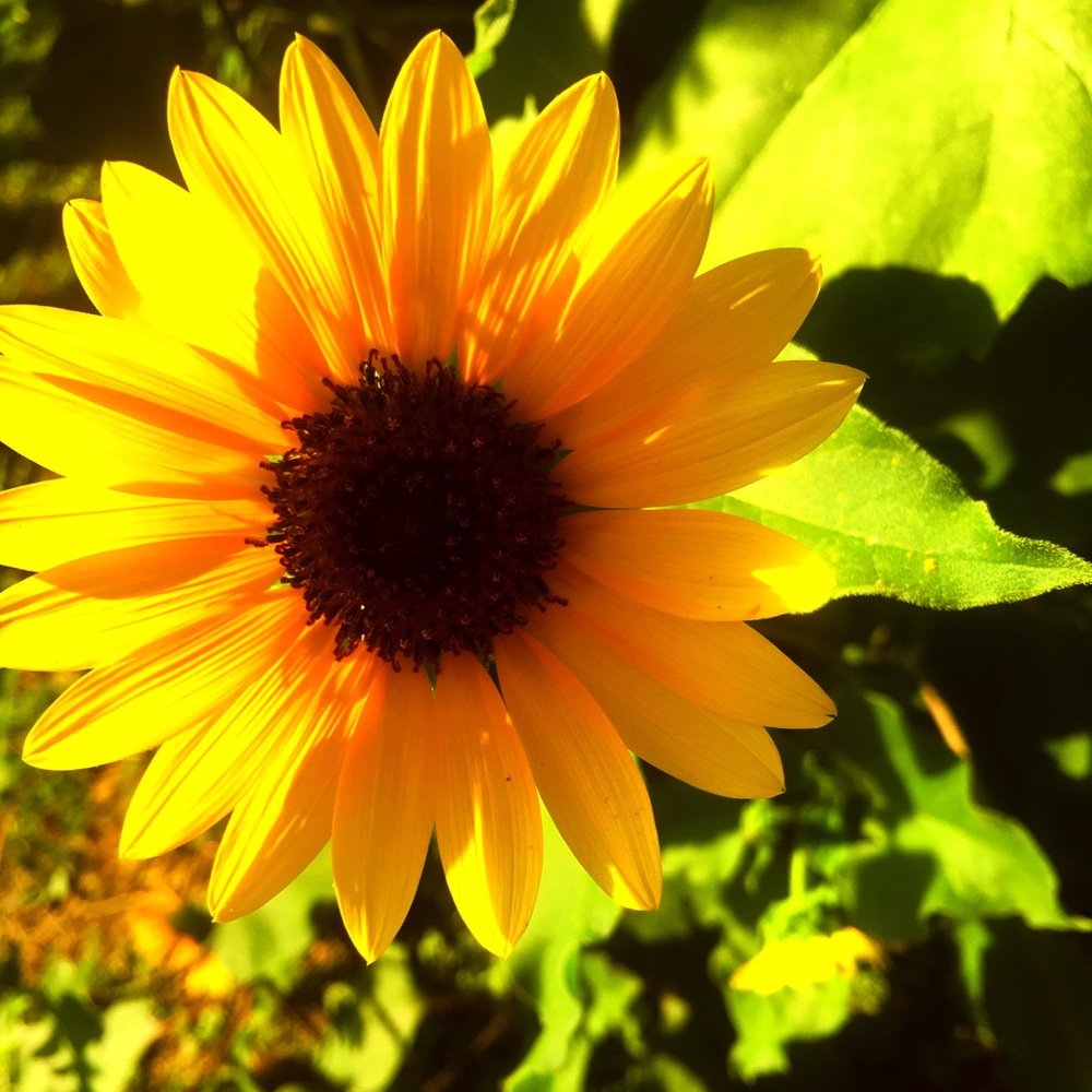 Meet your Posher, Tabitha